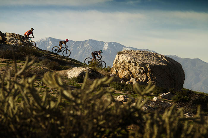 How to Choose a Mountain Bike